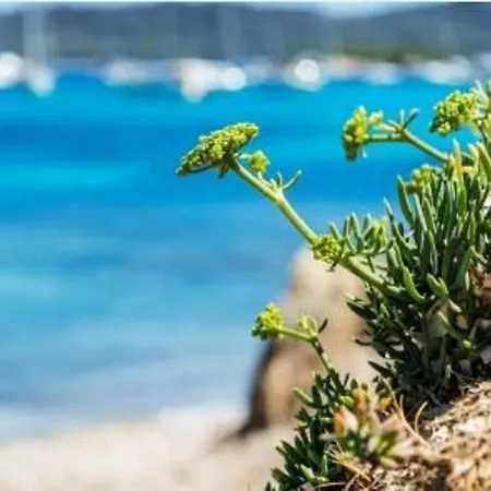 4 Pers. Avec Terrasse Sur La Au Lavandou - Fr-1-251-251 شقة