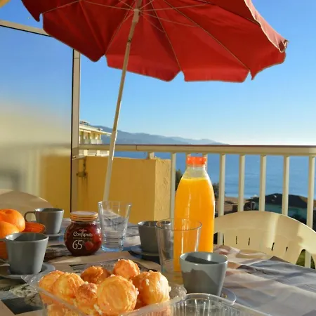 Lägenhet 4 Pers. Avec Terrasse Sur La Au Lavandou - Fr-1-251-251