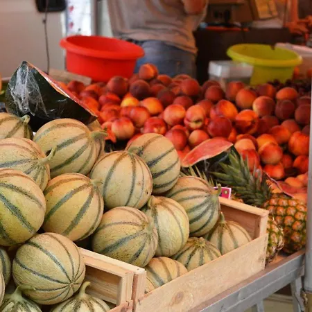 4 Pers. Avec Terrasse Sur La Au Lavandou - Fr-1-251-251