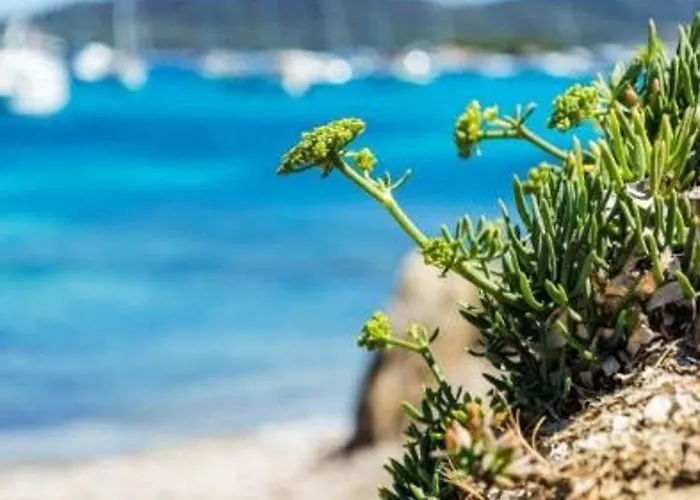 4 Pers. Avec Terrasse Sur La Au Lavandou - Fr-1-251-251 Lägenhet